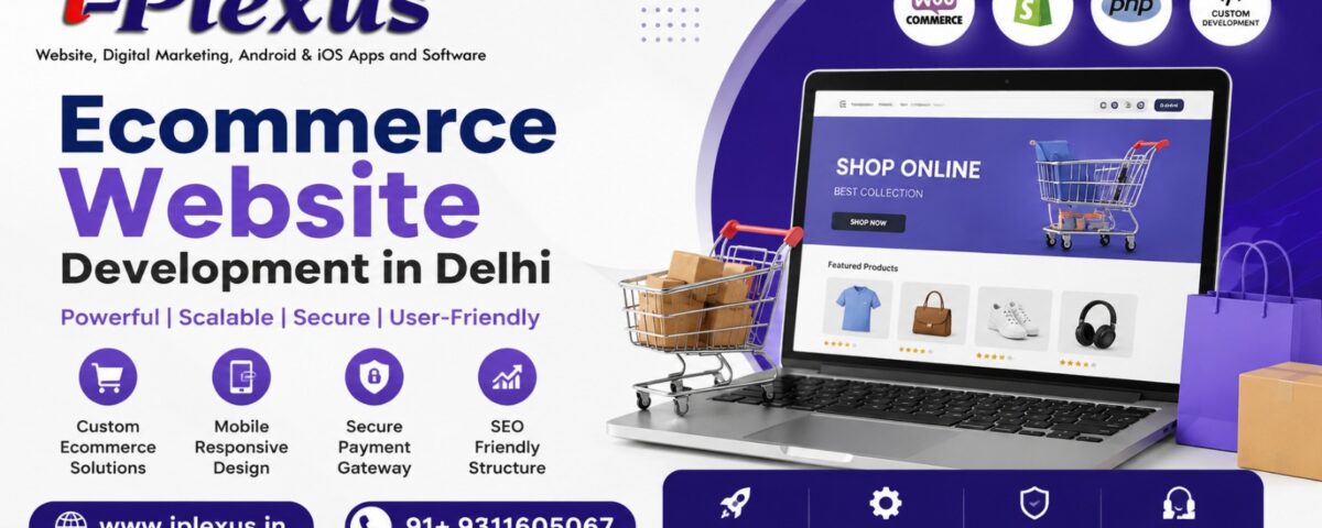 Ecommerce Website Development in Delhi