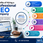 Benefits of Hiring a Professional SEO Company for Iplexus Technology