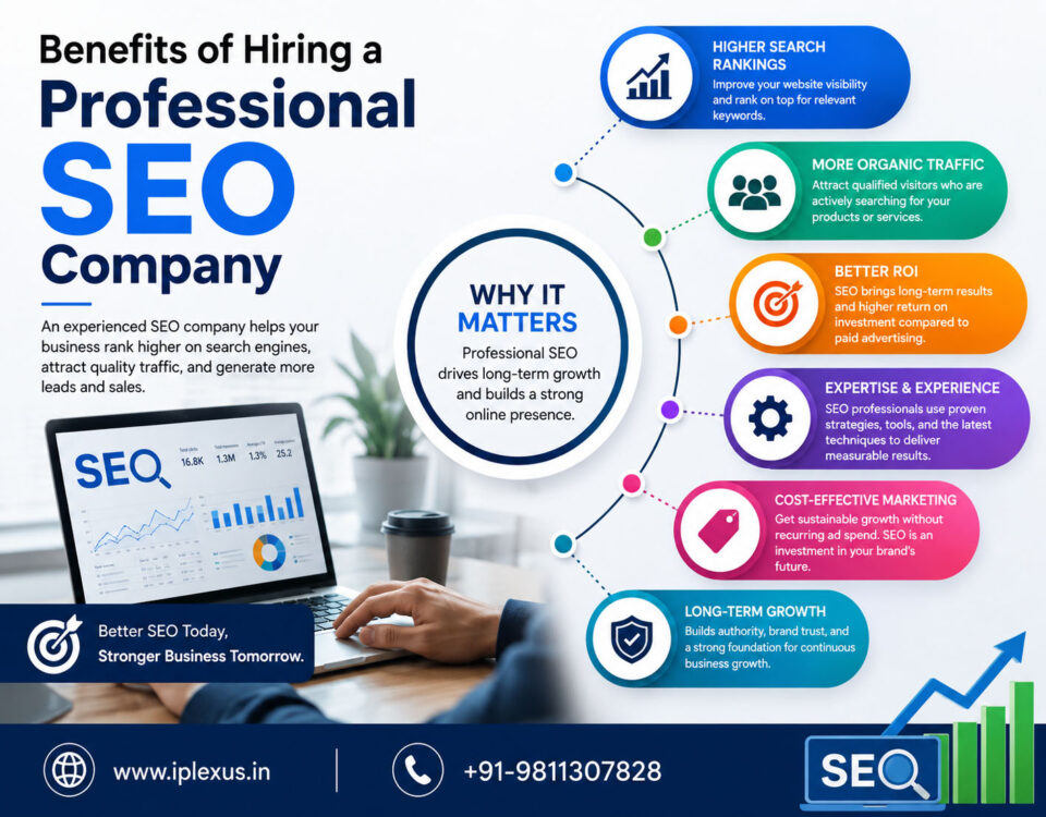 Benefits of Hiring a Professional SEO Company for Iplexus Technology